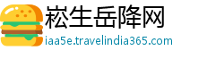 崧生岳降网